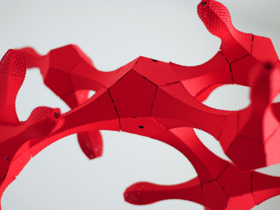 Cover image for Polytomies I