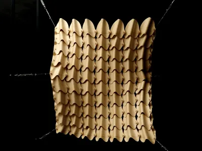 Cover image for Differentiated Tensile Wood-laminate Morphologies