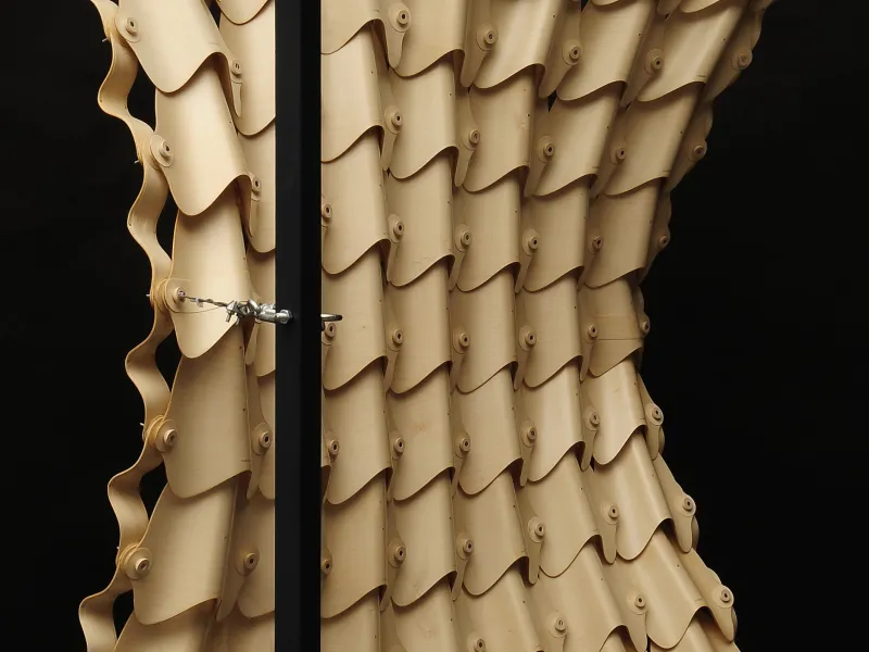 Differentiated Tensile Wood-laminate Morphologies